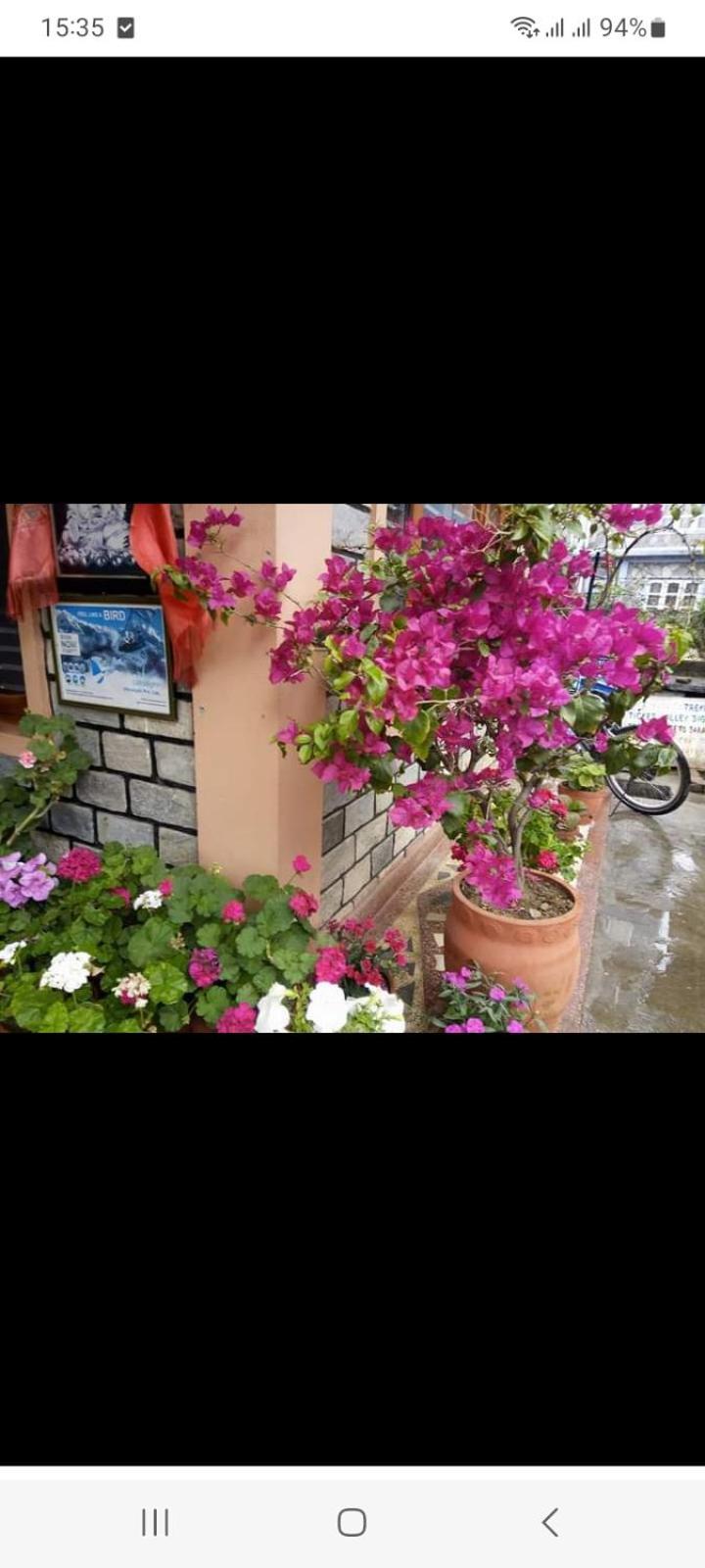 Galaxy Inn Guest House Pokhara Eksteriør bilde